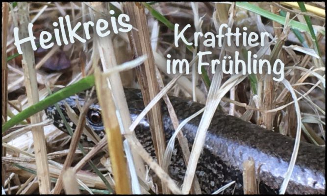 März ᛃ Heilkreis @ SeelenWerkstatt